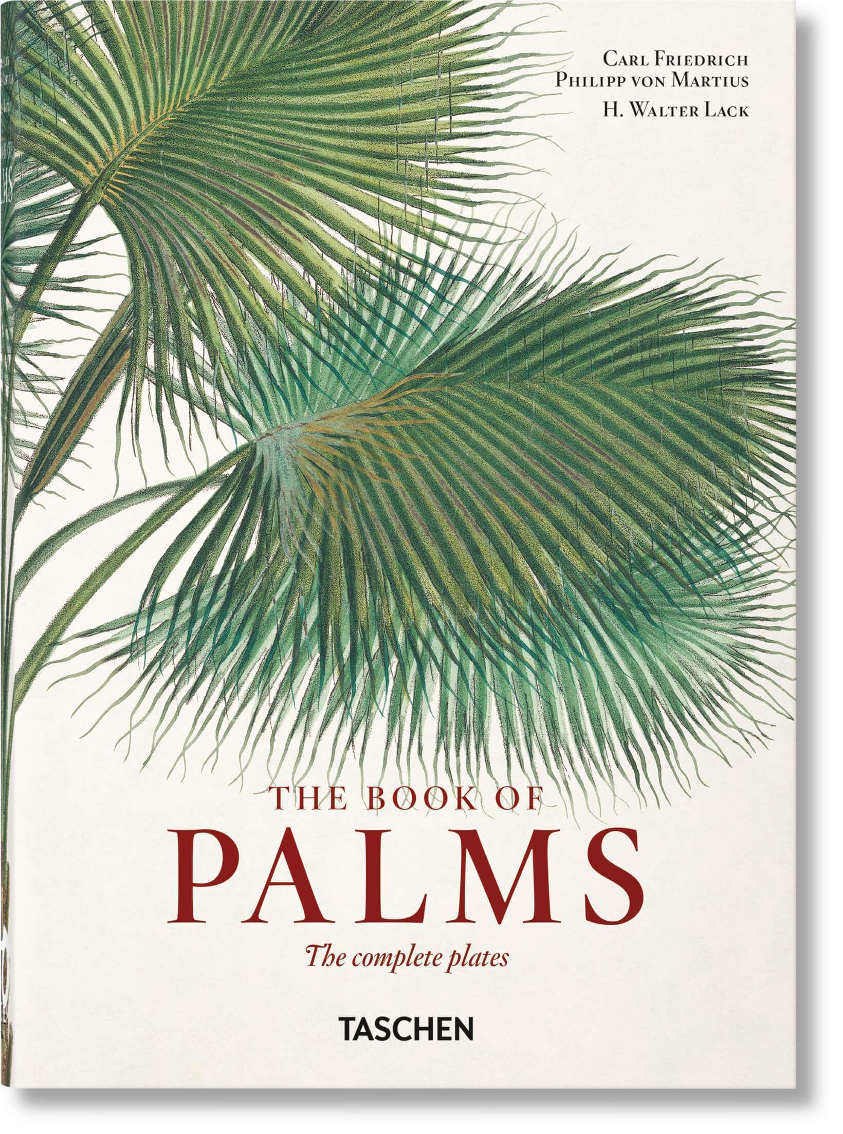 Martius. The Book of Palms. 45th Ed.