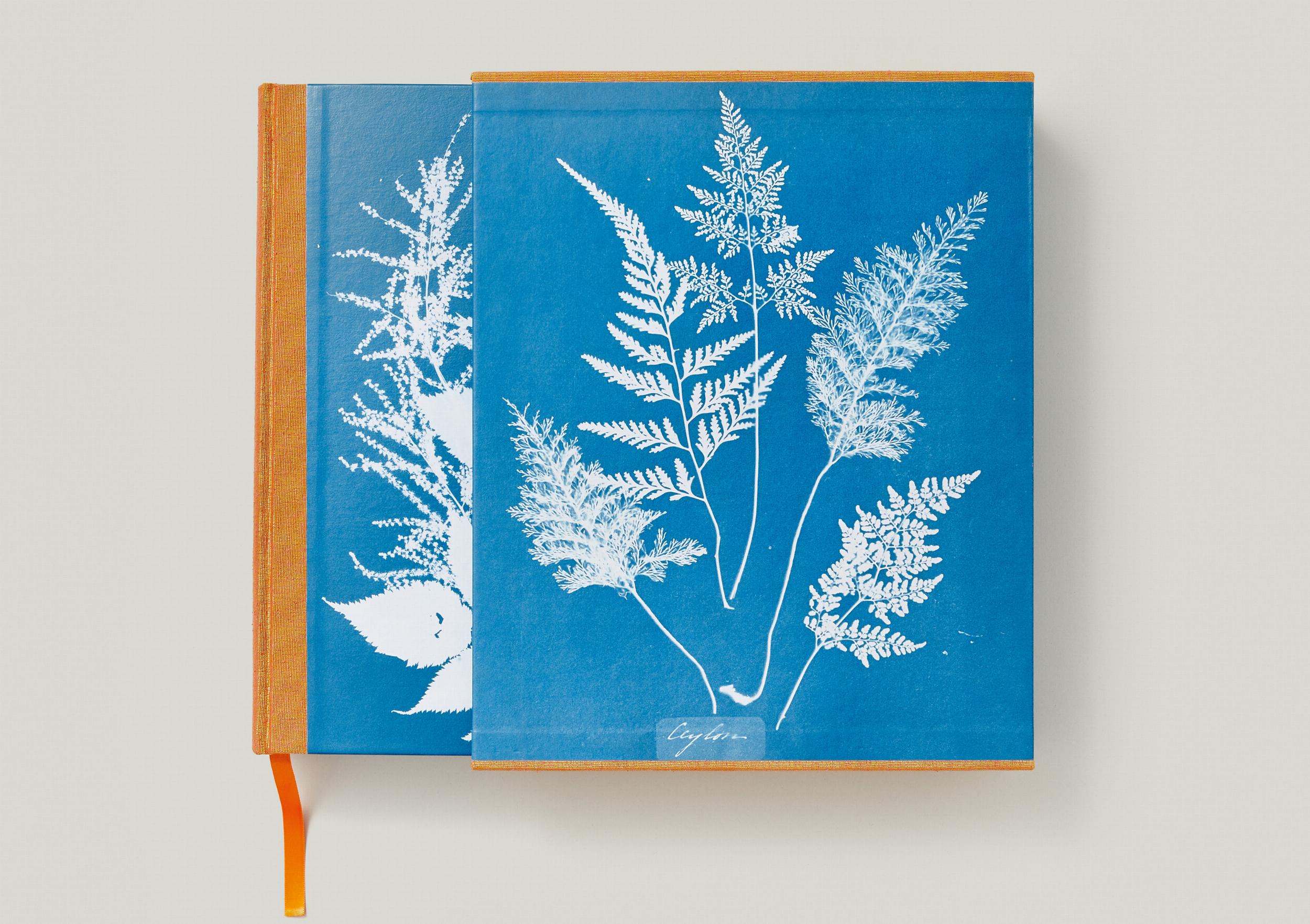 Anna Atkins, Cyanotypes - Görsel 2