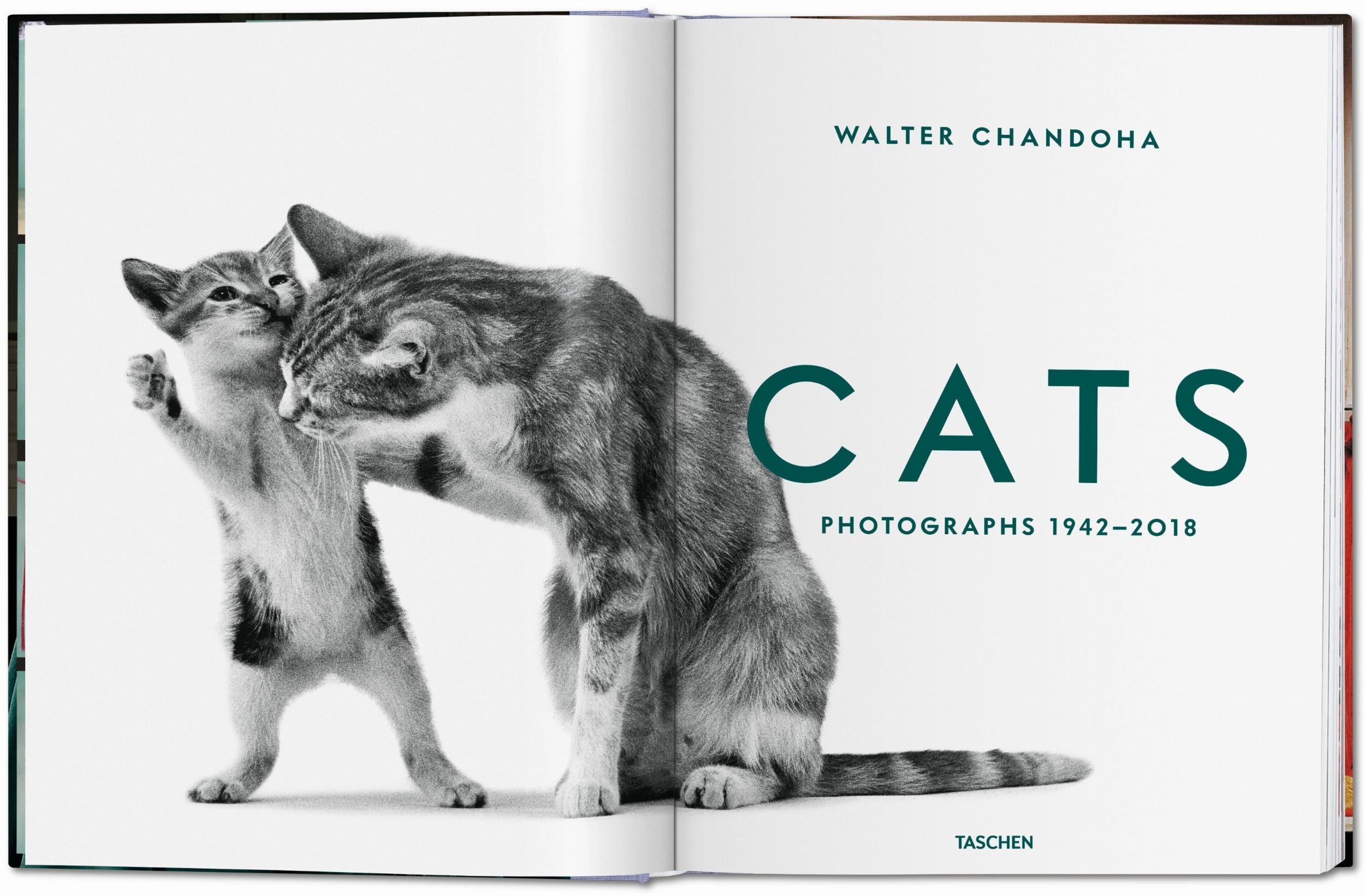 Walter Chandoha. Cats. Photographs 1942-2018 - Görsel 2
