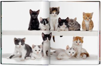 Walter Chandoha. Cats. Photographs 1942-2018 - Görsel 3