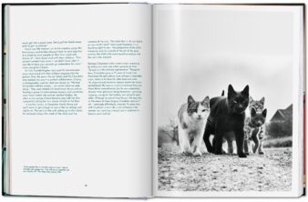 Walter Chandoha. Cats. Photographs 1942-2018 - Görsel 11