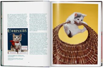 Walter Chandoha. Cats. Photographs 1942-2018 - Görsel 4