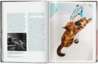 Walter Chandoha. Cats. Photographs 1942-2018 - Görsel 6