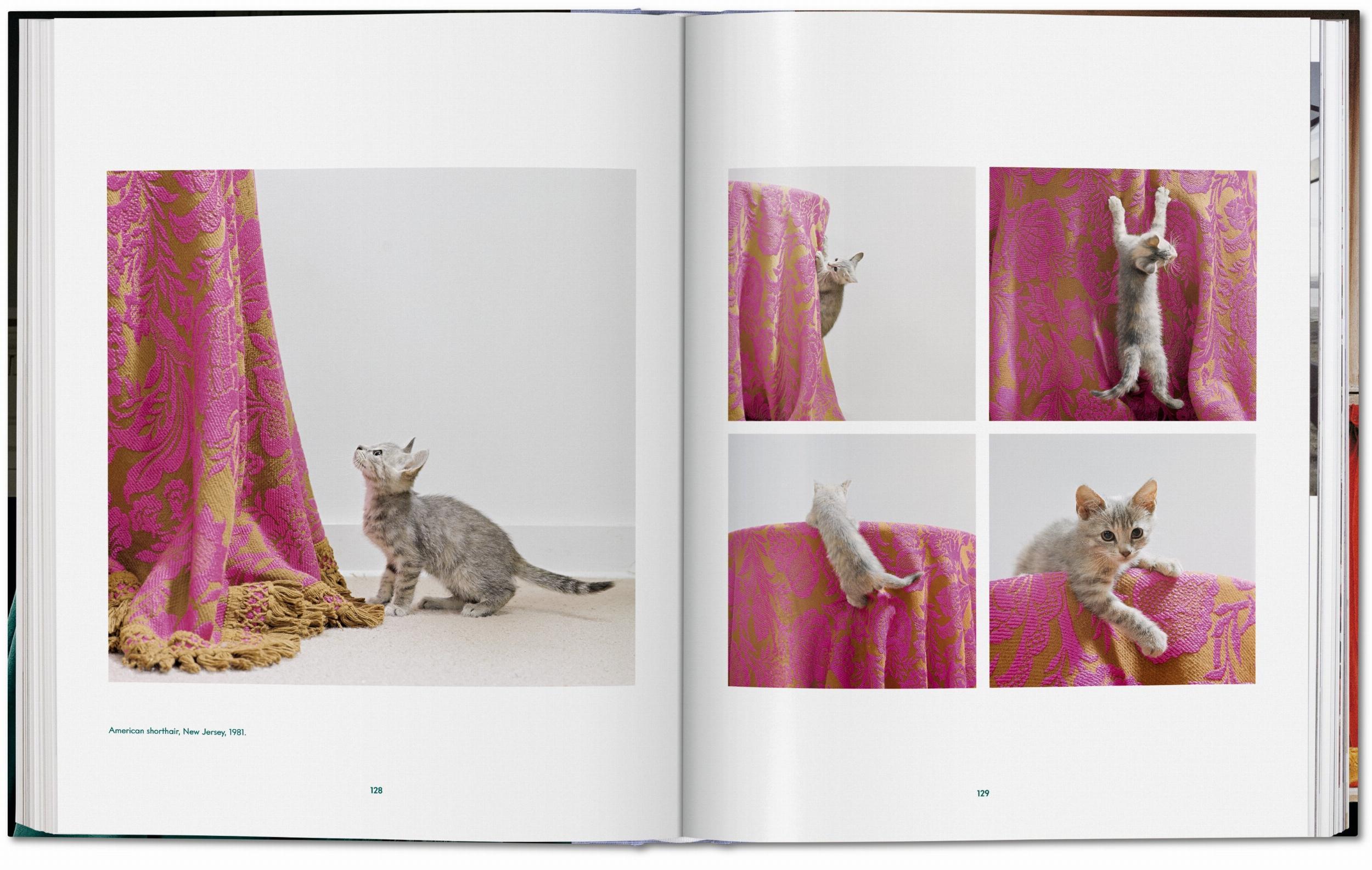 Walter Chandoha. Cats. Photographs 1942-2018 - Görsel 8