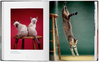 Walter Chandoha. Cats. Photographs 1942-2018 - Görsel 9