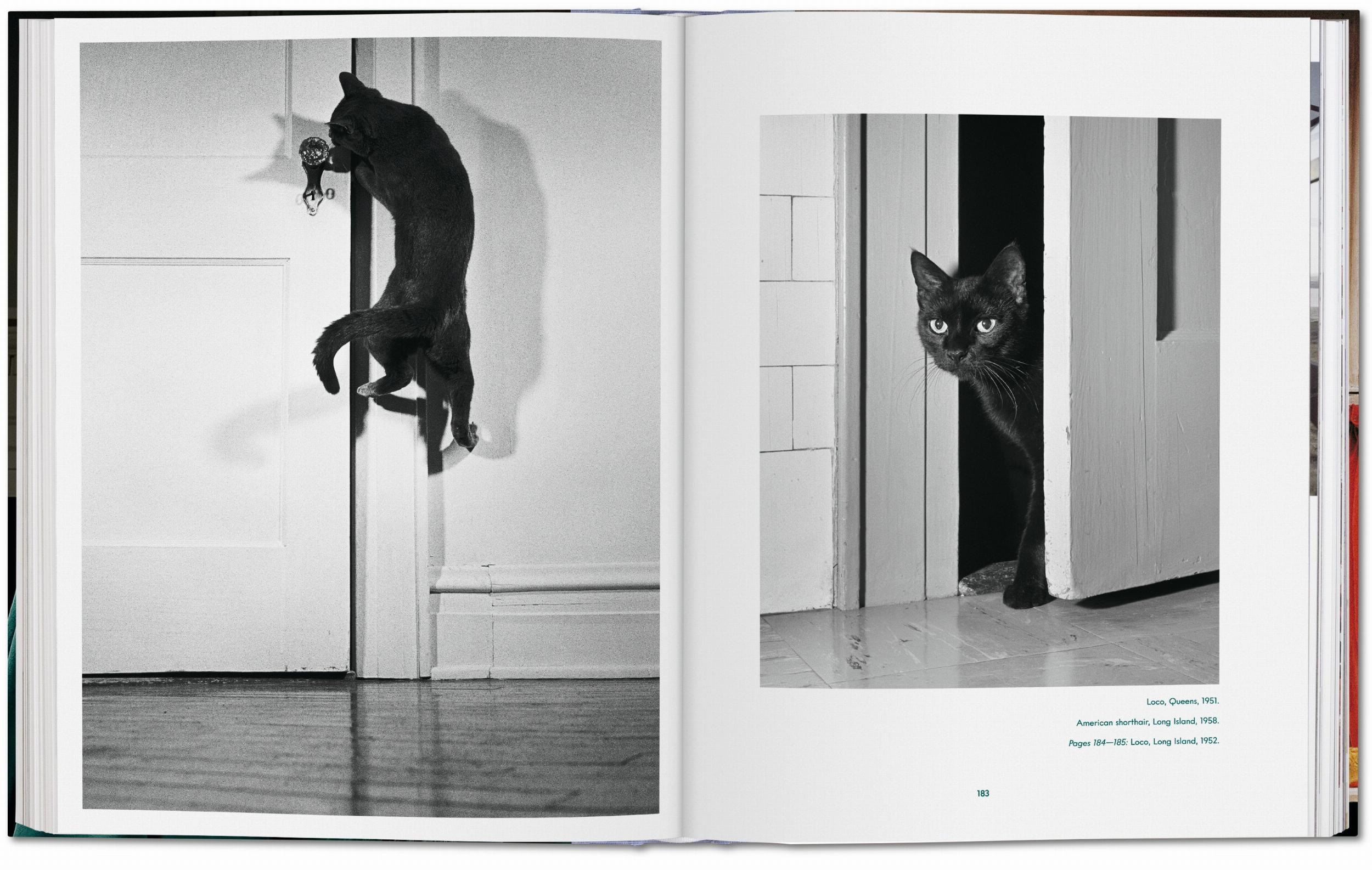 Walter Chandoha. Cats. Photographs 1942-2018 - Görsel 12
