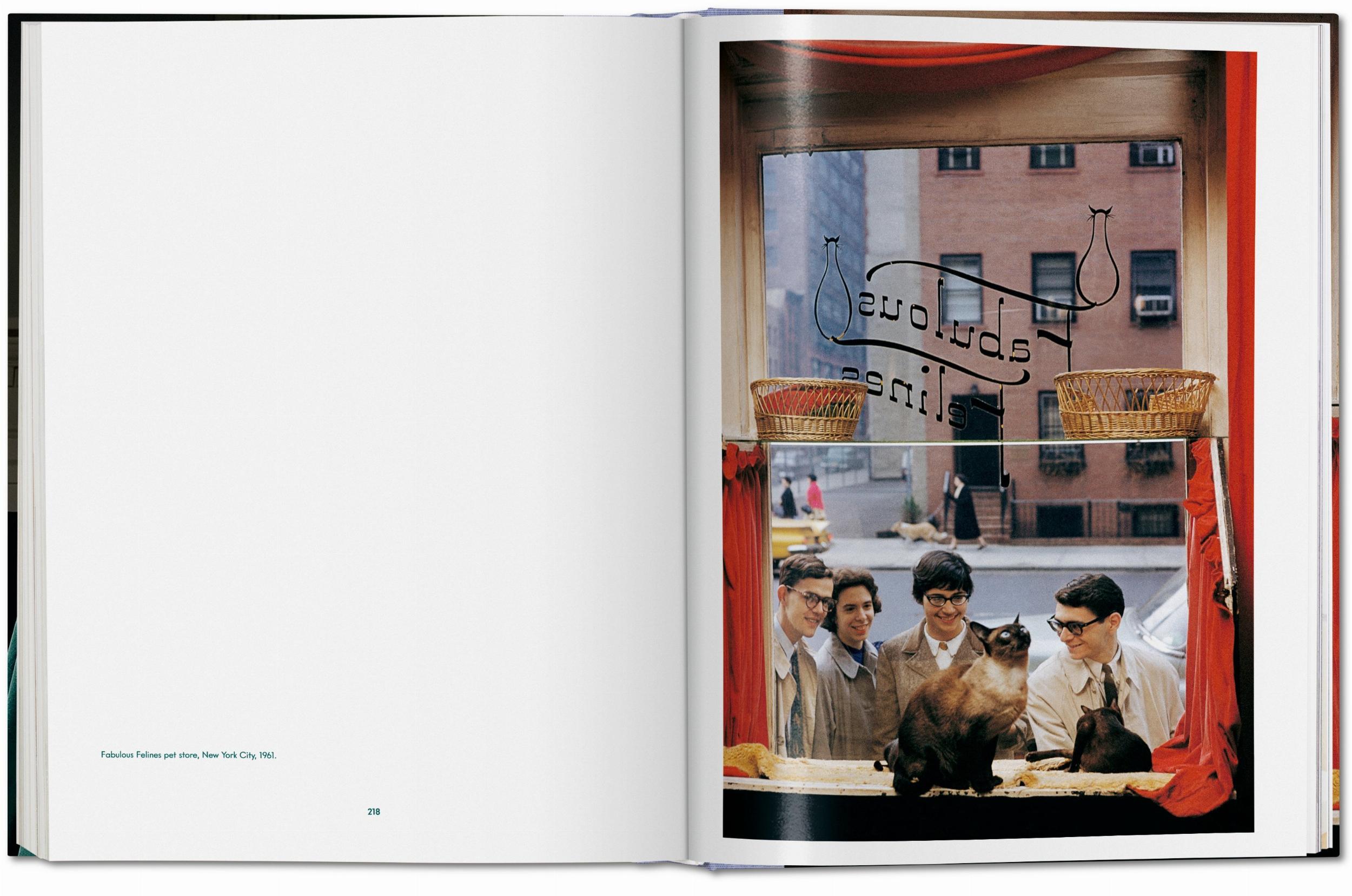 Walter Chandoha. Cats. Photographs 1942-2018 - Görsel 14