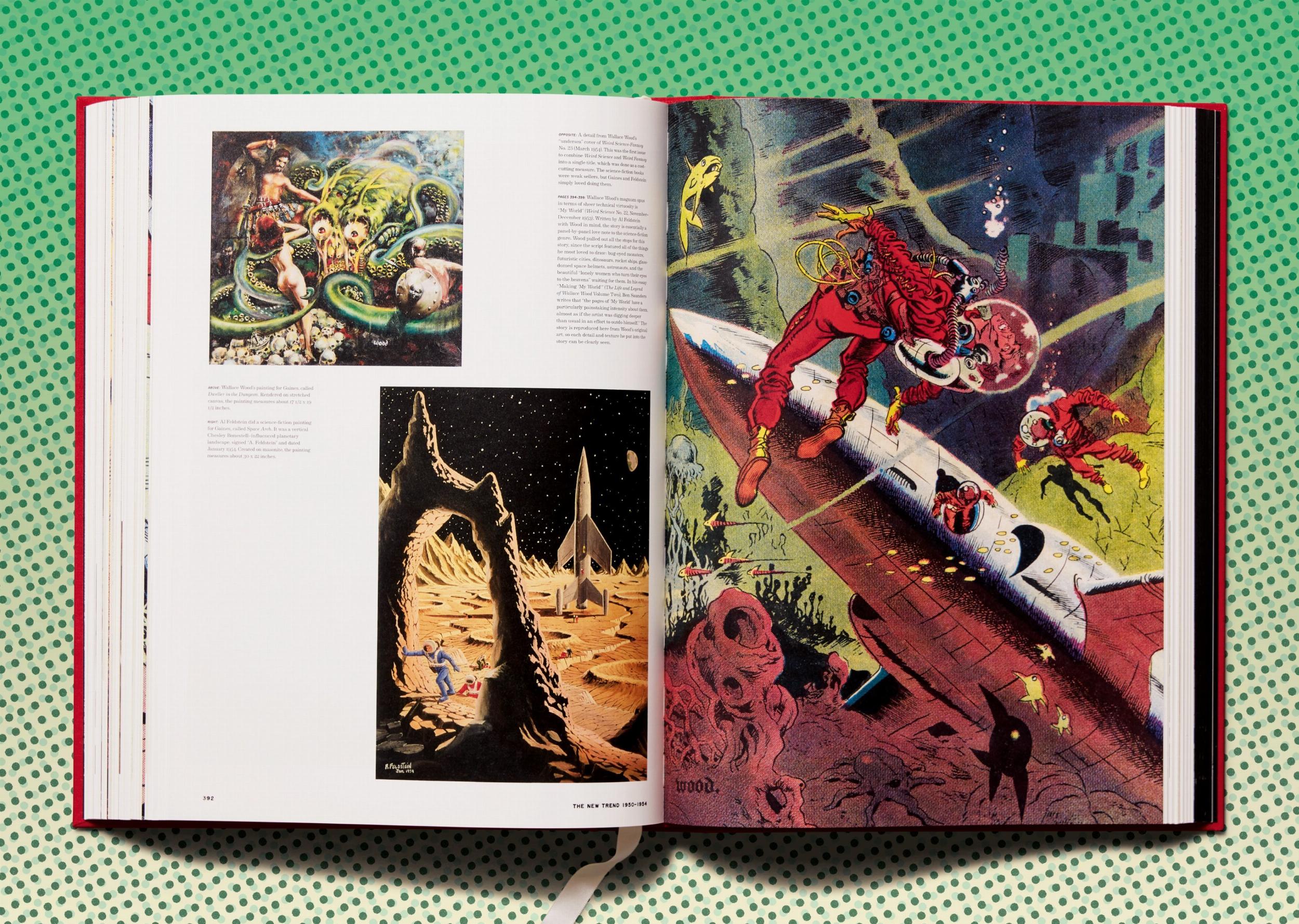 The History of EC Comics (XXL) - Görsel 10