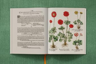 Basilius Besler. The Garden at Eichstätt - Görsel 3