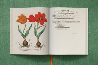 Basilius Besler. The Garden at Eichstätt - Görsel 4