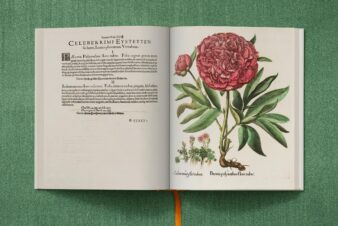 Basilius Besler. The Garden at Eichstätt - Görsel 6