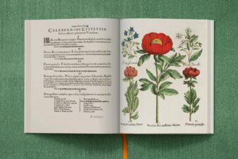 Basilius Besler. The Garden at Eichstätt - Görsel 7
