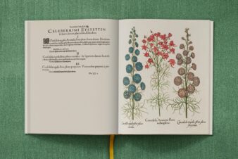 Basilius Besler. The Garden at Eichstätt - Görsel 16