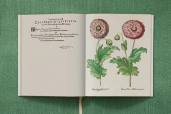 Basilius Besler. The Garden at Eichstätt - Görsel 21