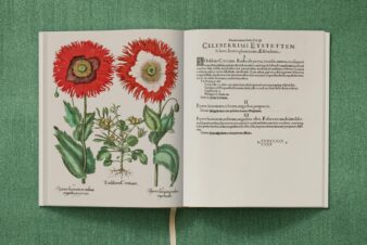 Basilius Besler. The Garden at Eichstätt - Görsel 22
