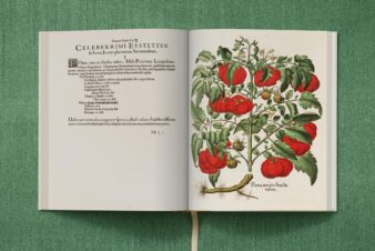 Basilius Besler. The Garden at Eichstätt - Görsel 23