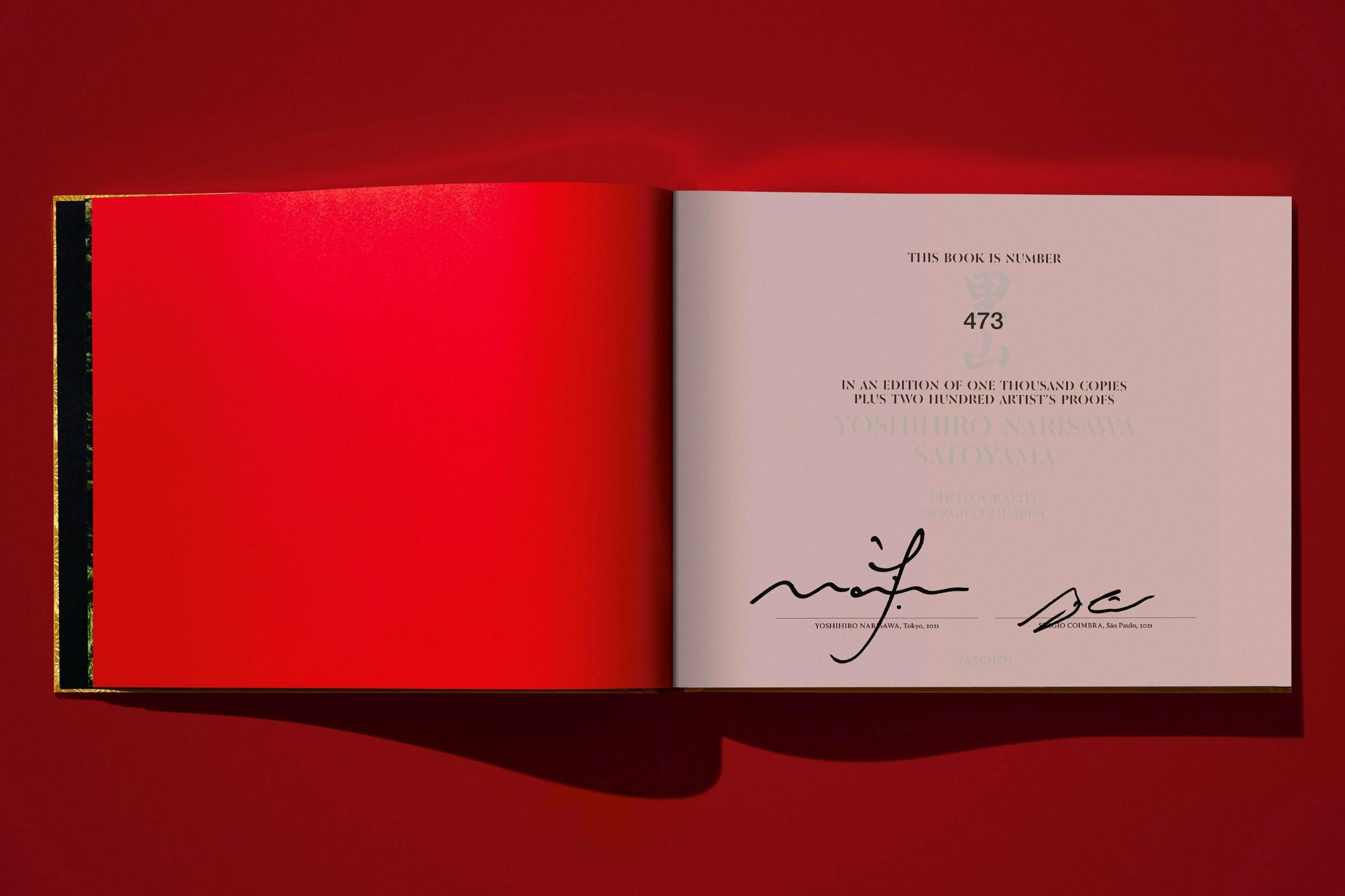 Yoshihiro Narisawa. Satoyama Cuisine (XXL) - Görsel 15