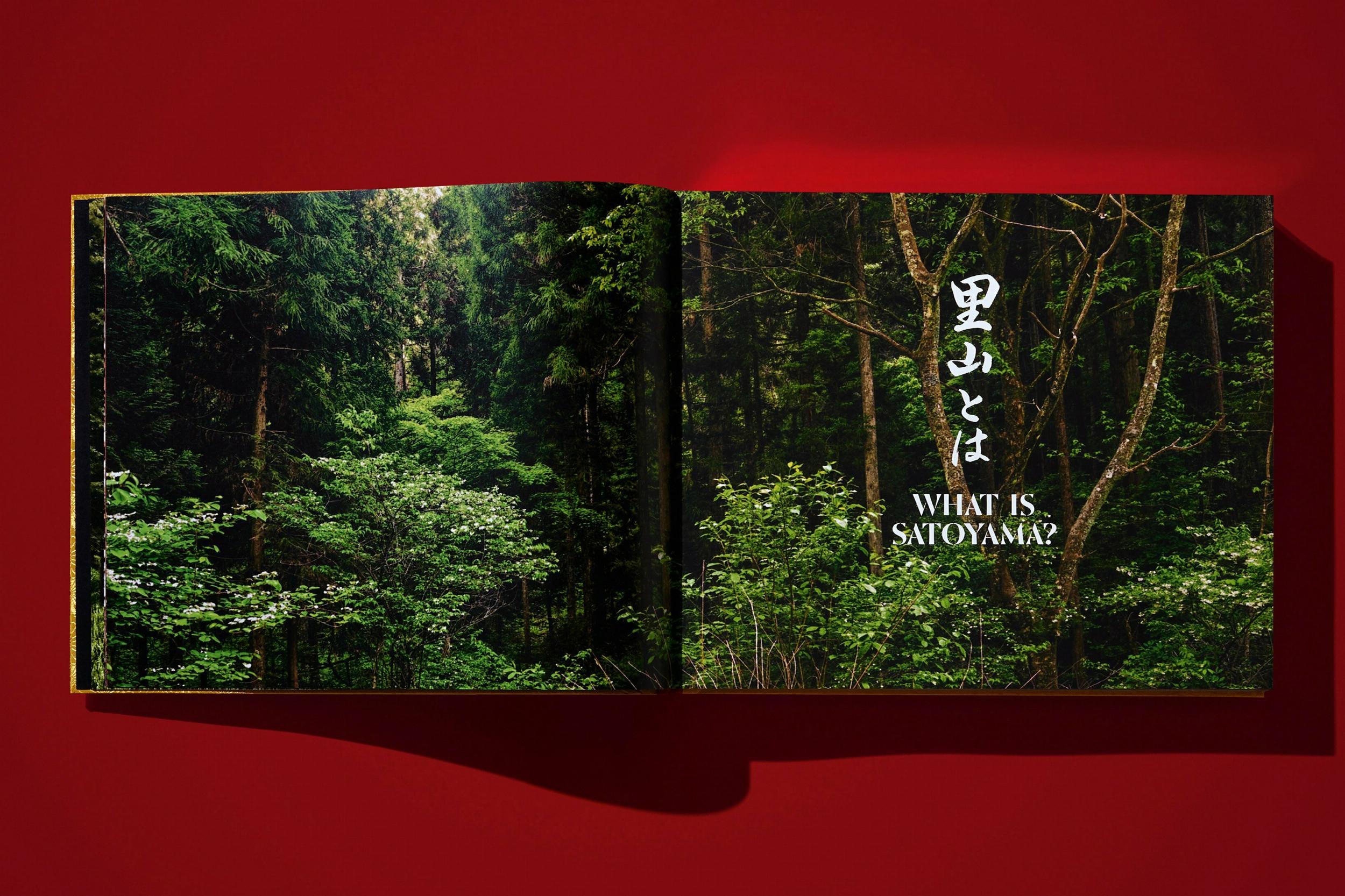 Yoshihiro Narisawa. Satoyama Cuisine (XXL) - Görsel 16