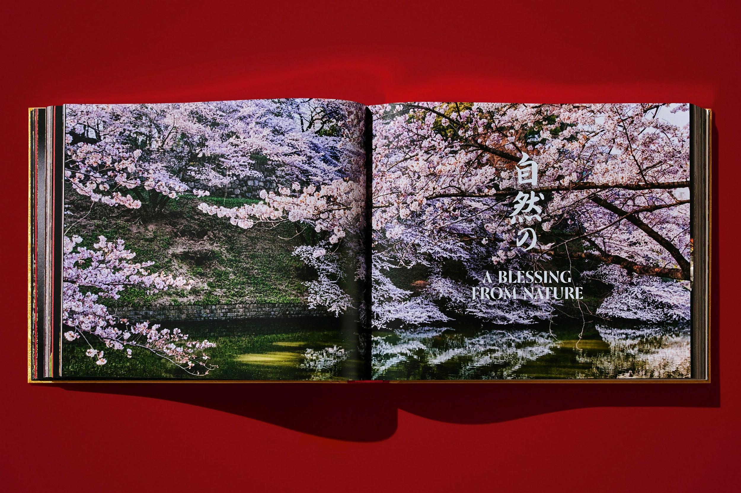 Yoshihiro Narisawa. Satoyama Cuisine (XXL) - Görsel 19