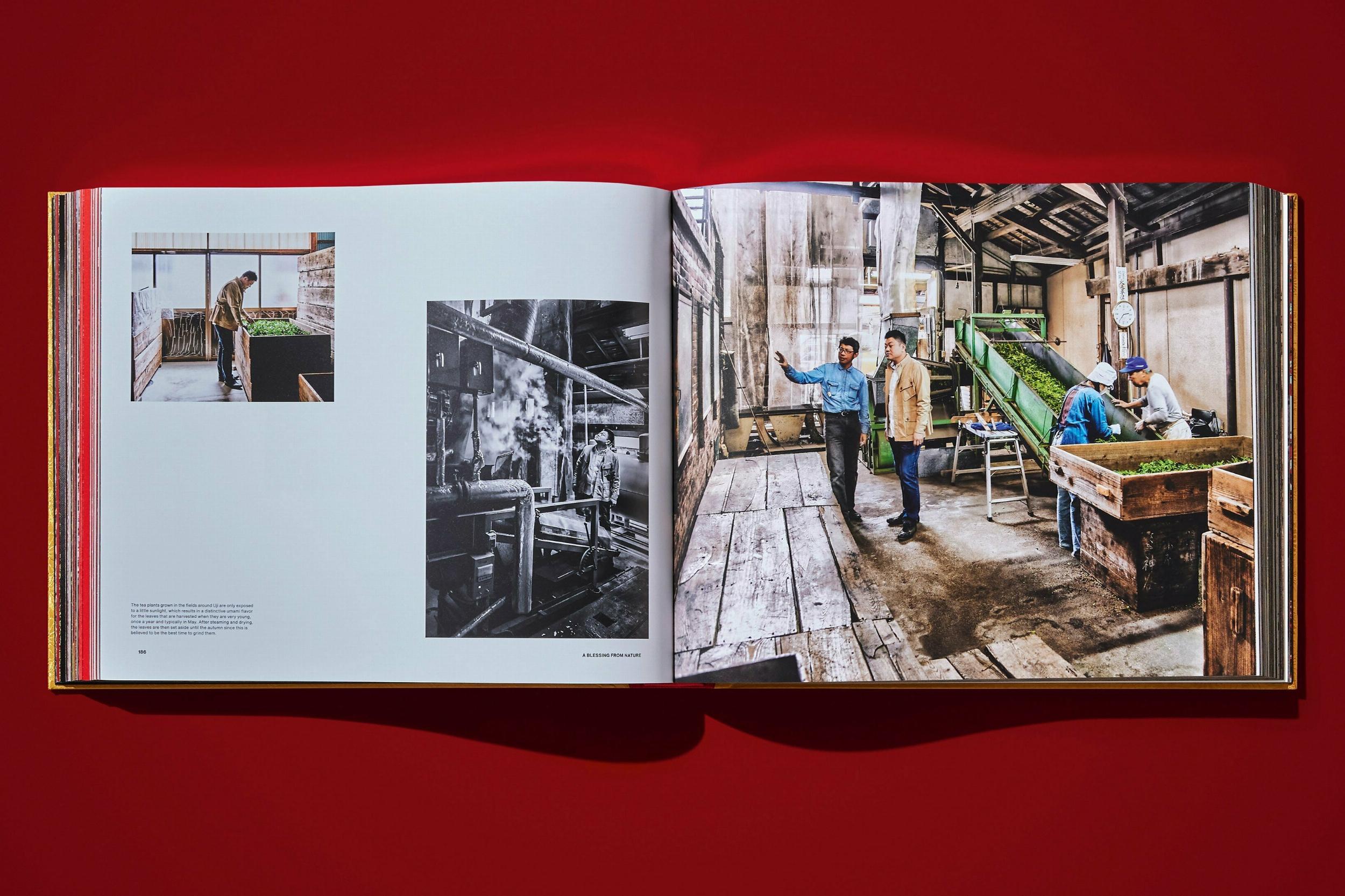 Yoshihiro Narisawa. Satoyama Cuisine (XXL) - Görsel 5