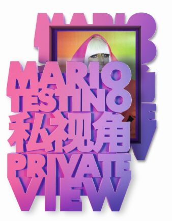 Mario Testino. Private View (XXL)