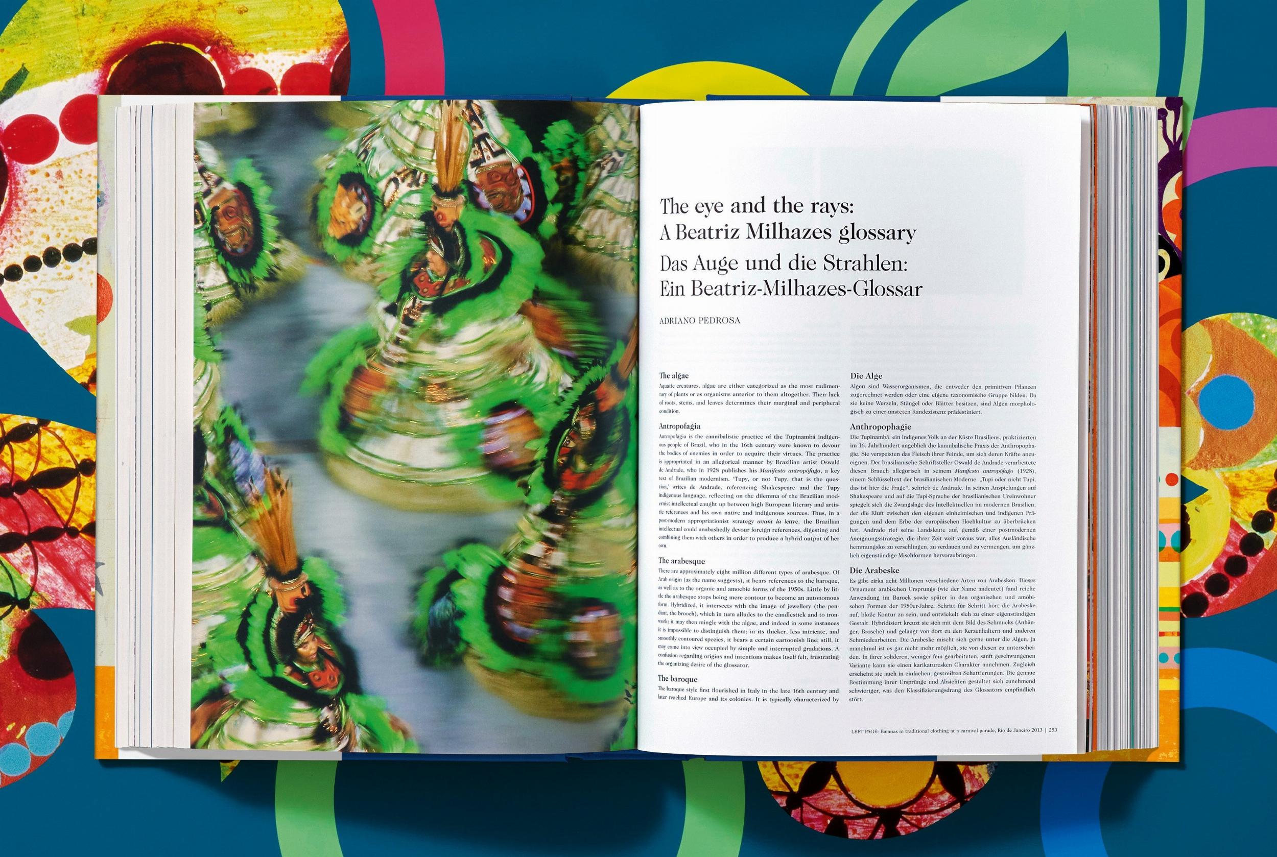 Beatriz Milhazes - Görsel 6