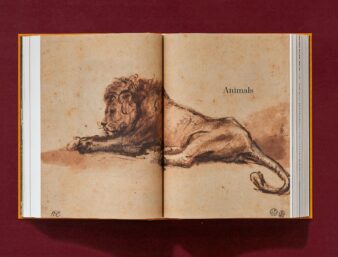 Rembrandt. The Complete Drawings and Etchings (XXL) - Görsel 15