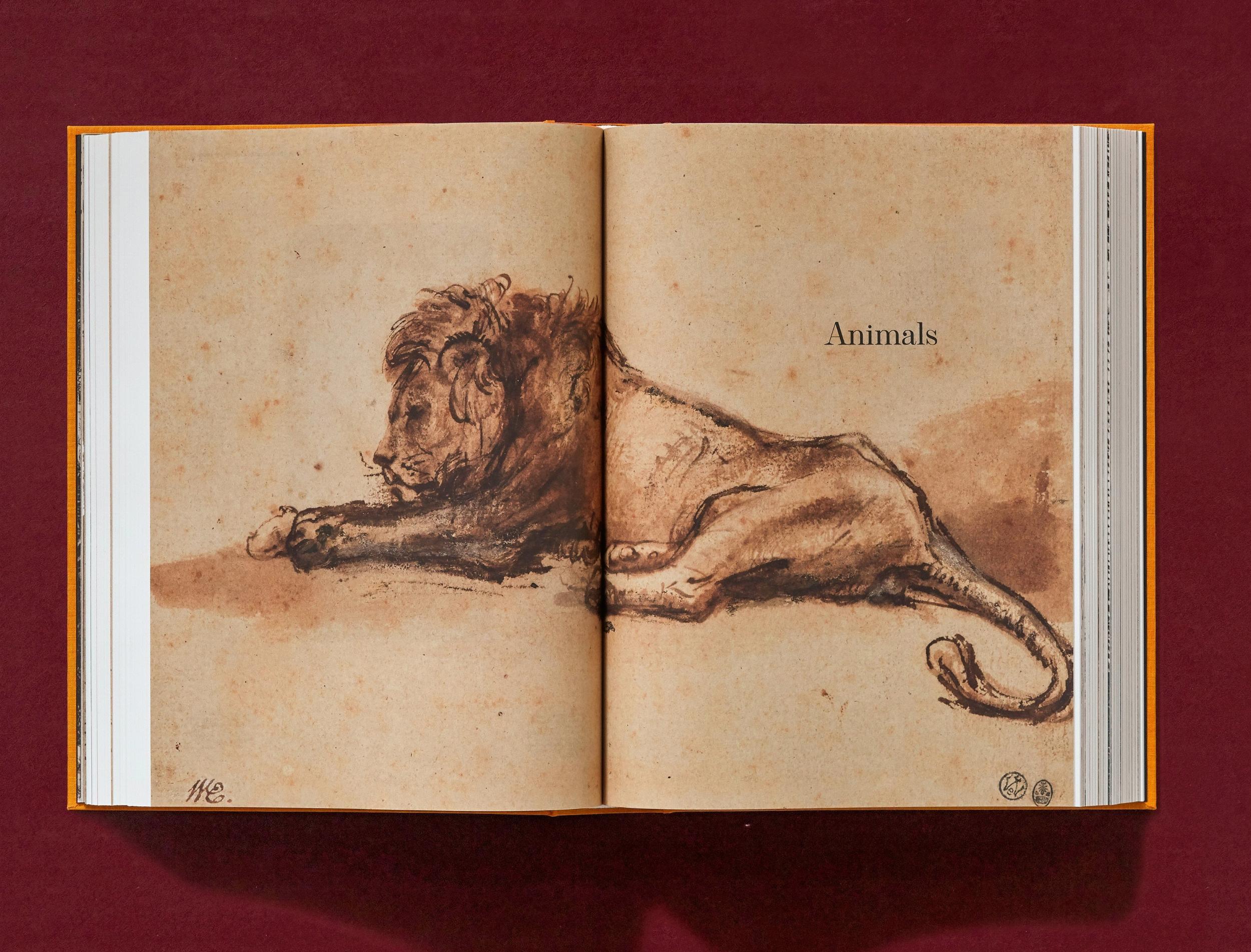 Rembrandt. The Complete Drawings and Etchings (XXL) - Görsel 15