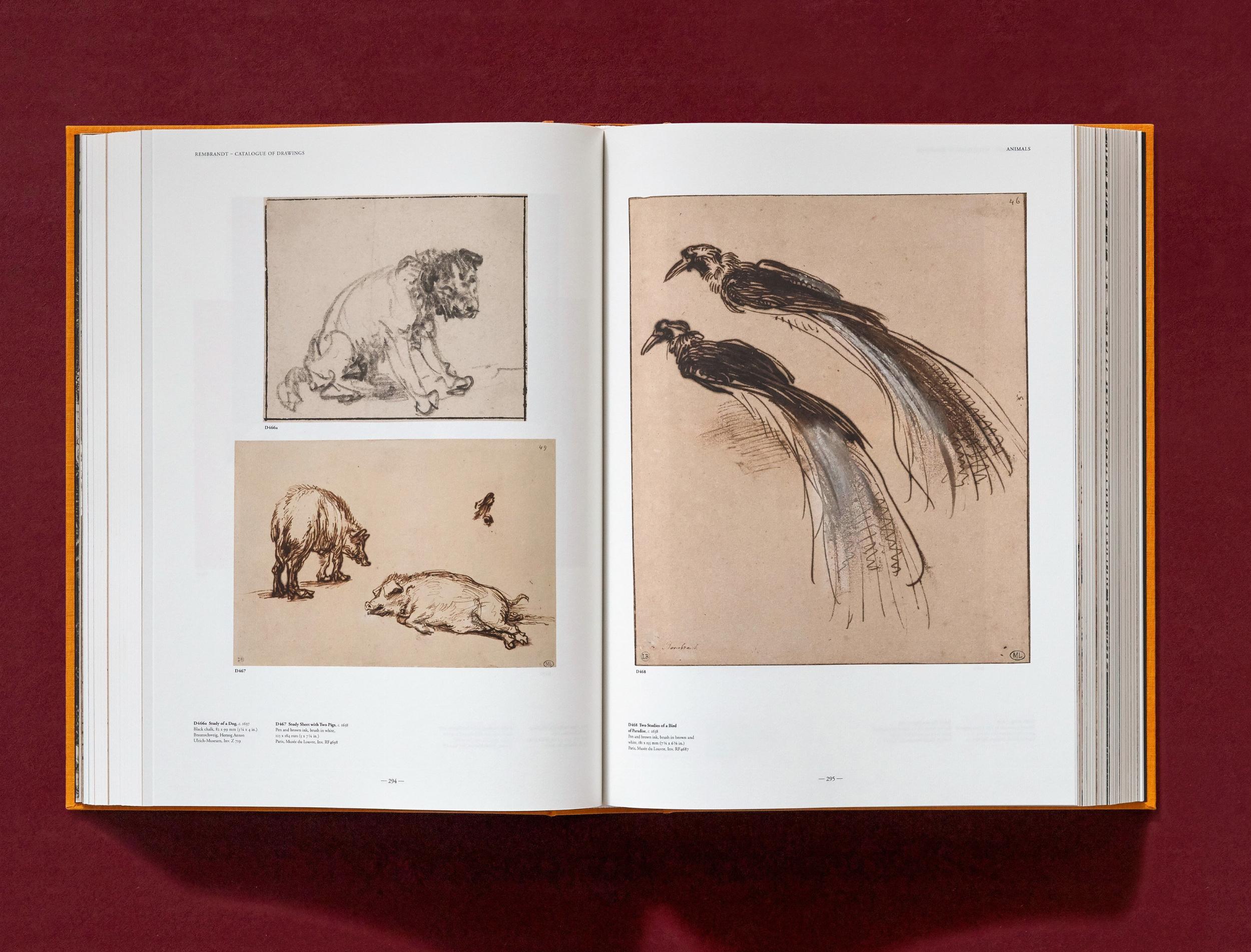 Rembrandt. The Complete Drawings and Etchings (XXL) - Görsel 16