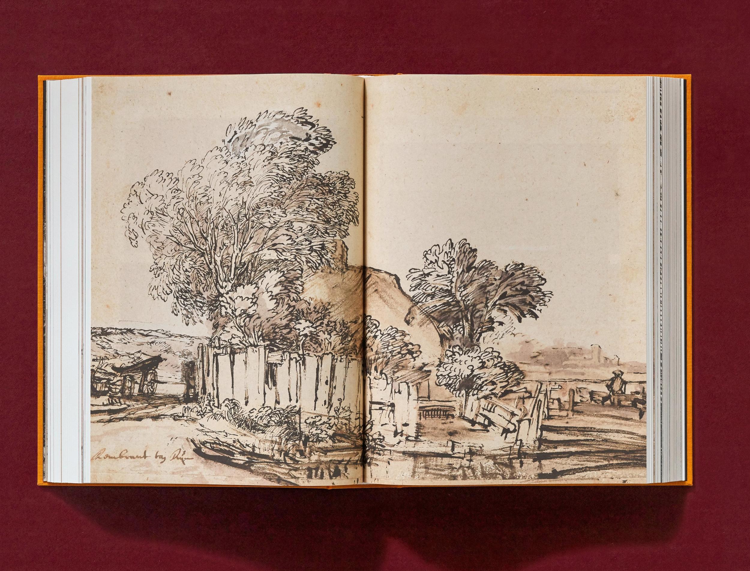 Rembrandt. The Complete Drawings and Etchings (XXL) - Görsel 17