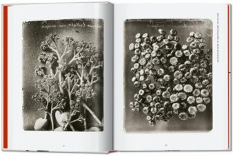 Karl Blossfeldt. The Complete Published Work. 40th Ed. - Image 4