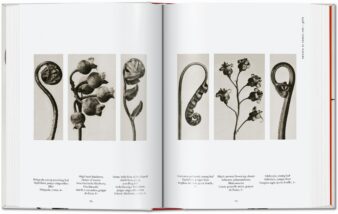 Karl Blossfeldt. The Complete Published Work. 40th Ed. - Image 5