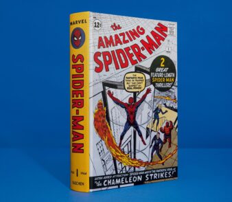 Marvel Comics Library. Spider-Man. Vol. 1. 1962–1964 (XXL) - Görsel 2