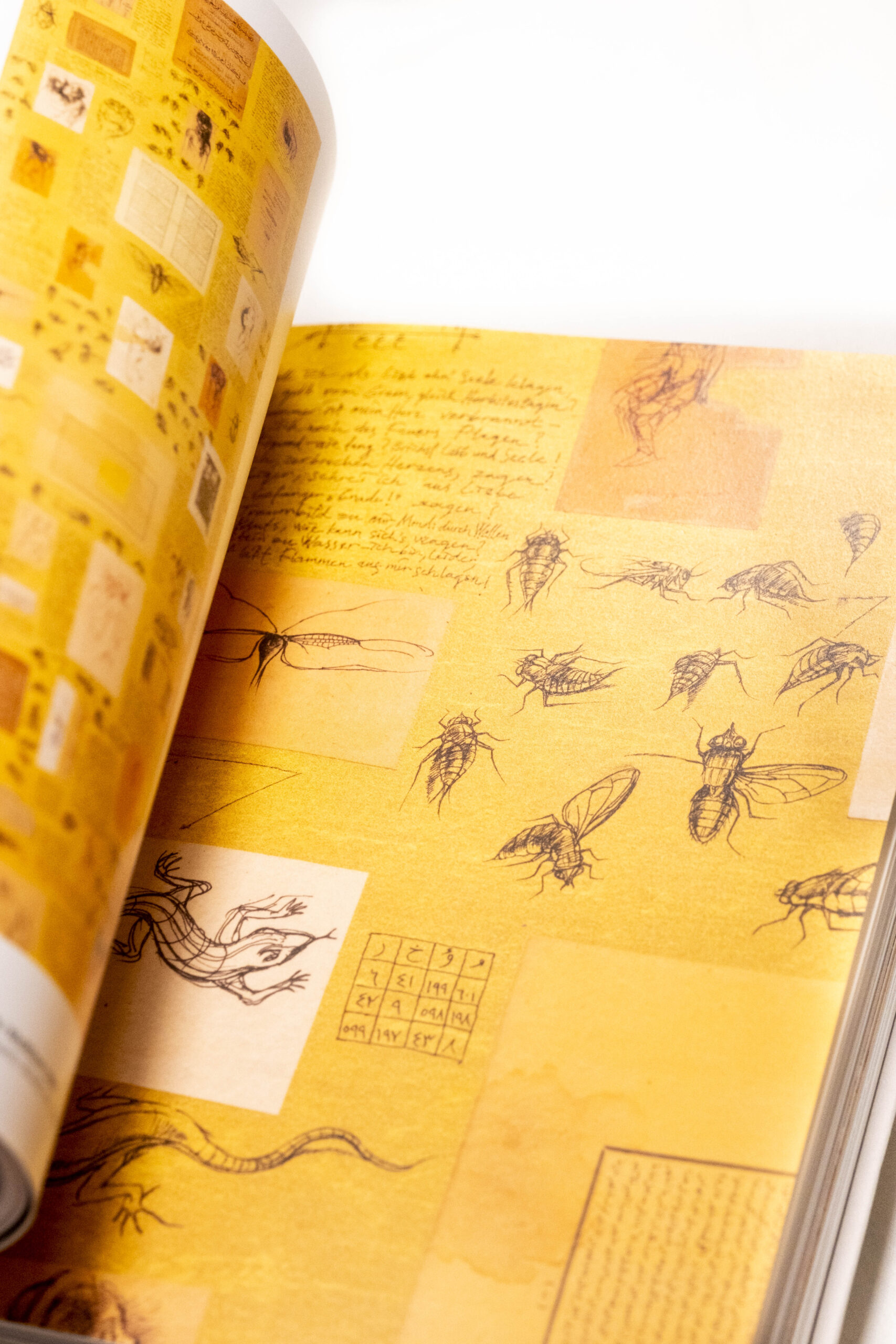 Ergin İnan "Zaman ve İzler Arasında: 1964-2005" Sergi Kataloğu - Görsel 9