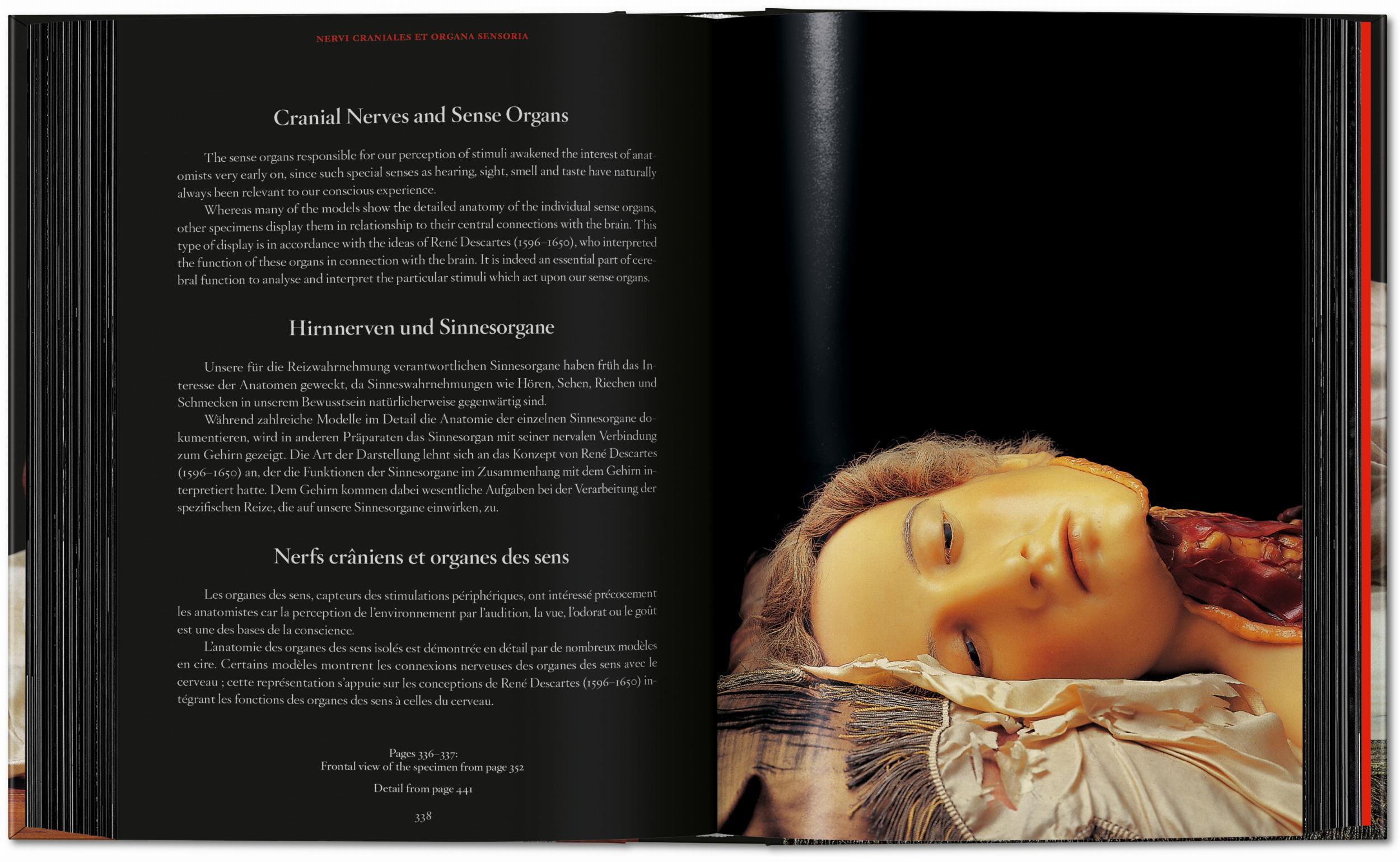 Anatomical Waxes. 45th Ed. - Görsel 4