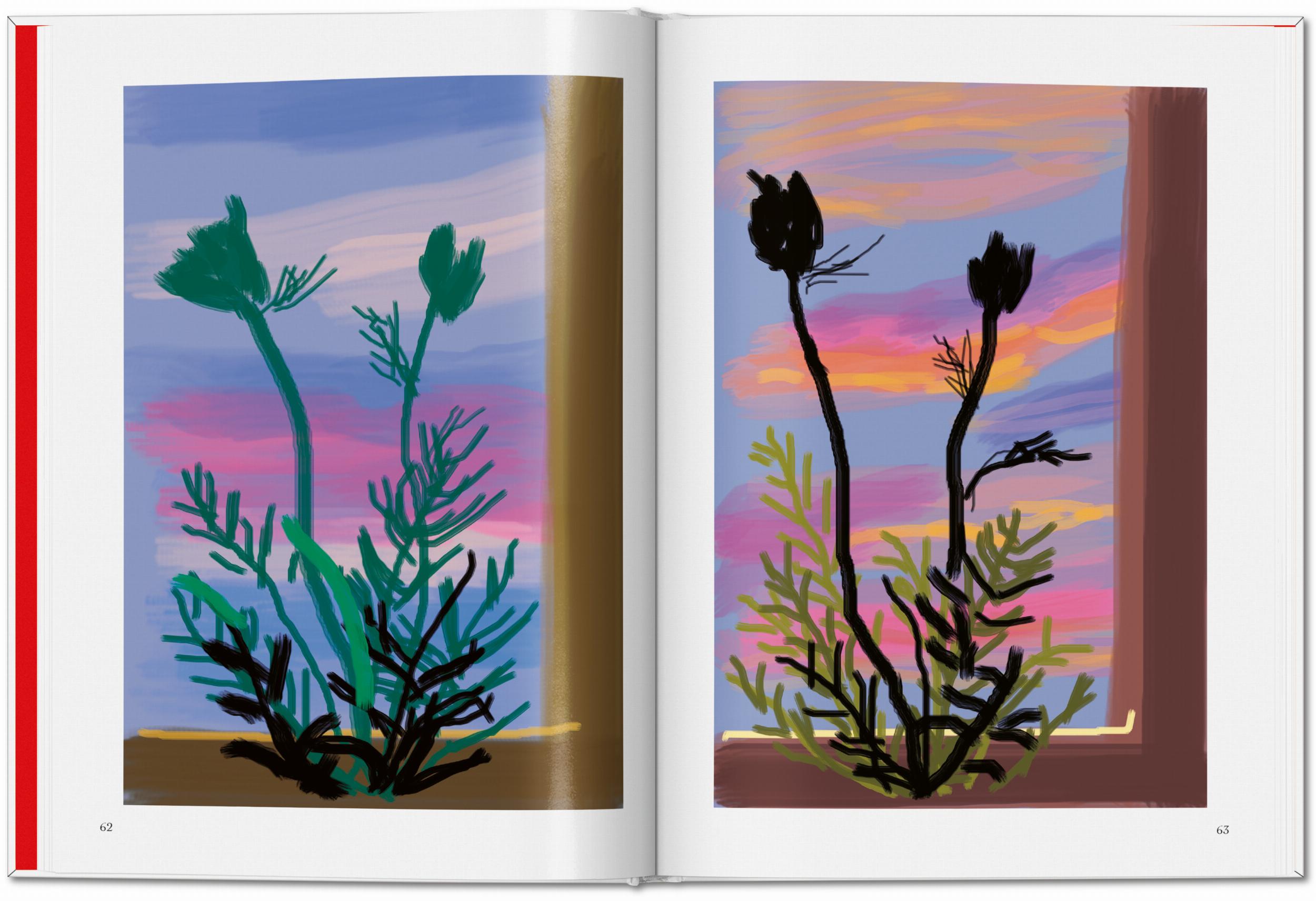 David Hockney. My Window - Görsel 3