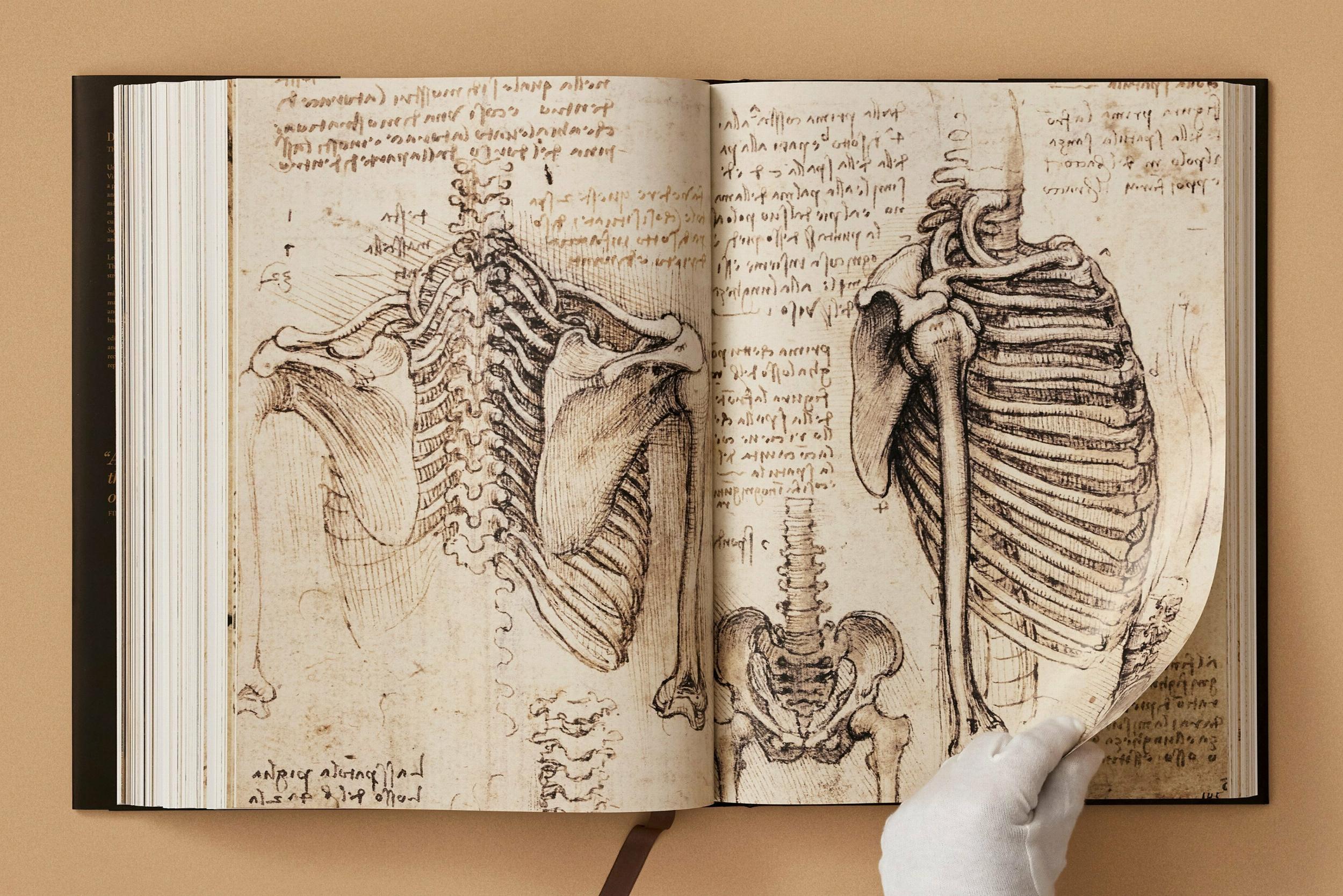 Leonardo. The Complete Paintings and Drawings (XXL) - Görsel 5